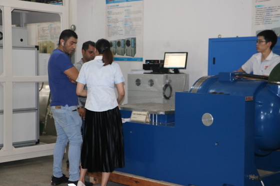 Elektrodynamiczne wibratory sinusoidalne i losowe do części samochodowych ISO 16750